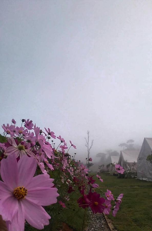Lys I Dalen Resort&Camping 카오코 외부 사진