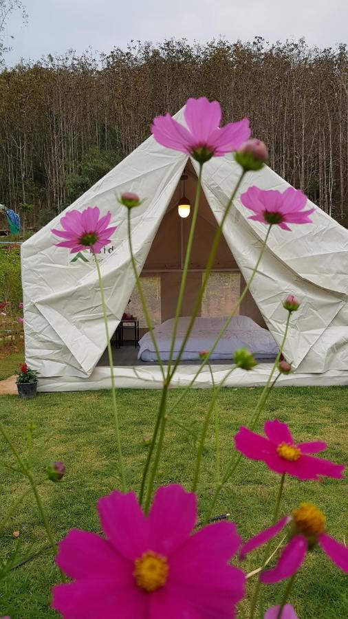 Lys I Dalen Resort&Camping 카오코 외부 사진